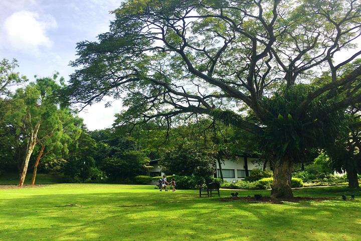 Event Lawn at HortPark, Singapore