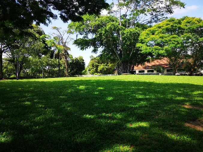 Fort Gate at Fort Canning Park, photo 3