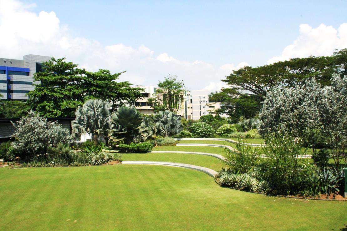HortLawn at HortPark, photo 5