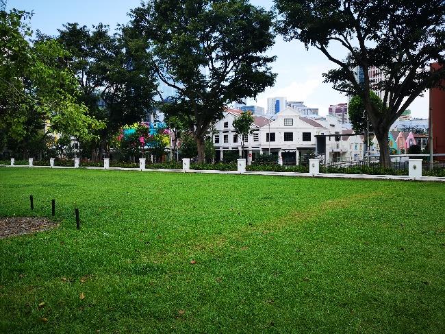 Lawn @ The Foothills at Fort Canning Park, Singapore
