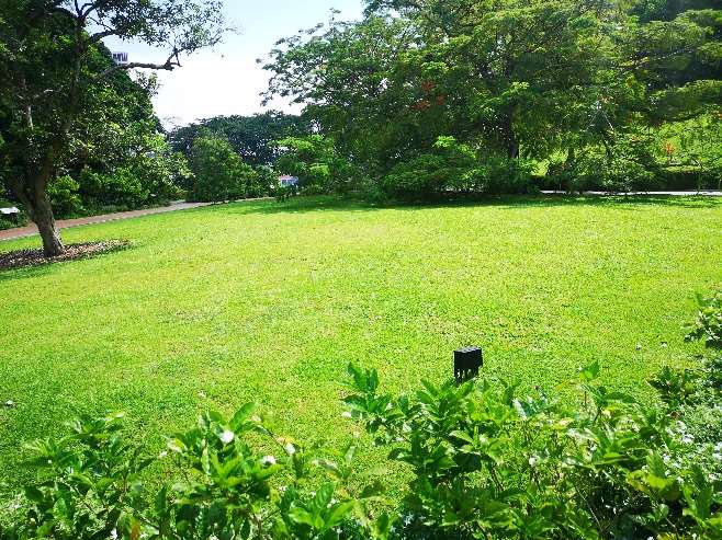 Raffles Garden at Fort Canning Park, Singapore