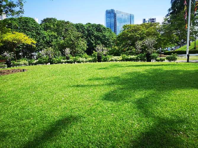 Raffles Garden at Fort Canning Park, photo 2